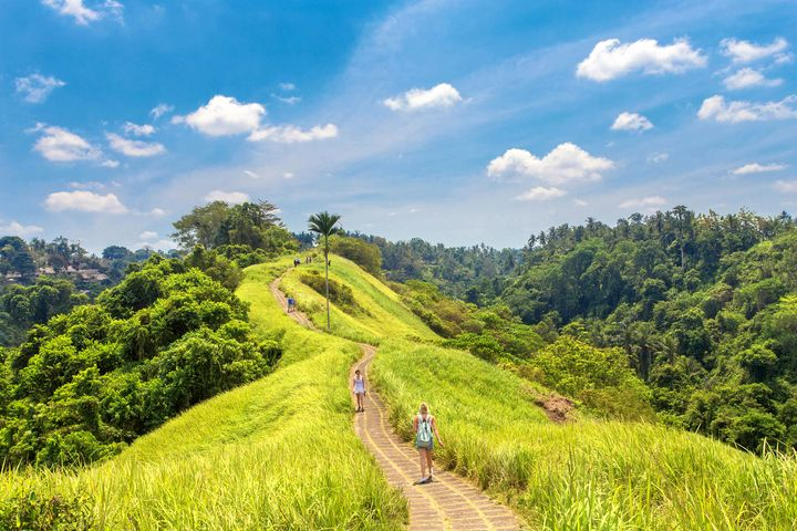 landscape - Research