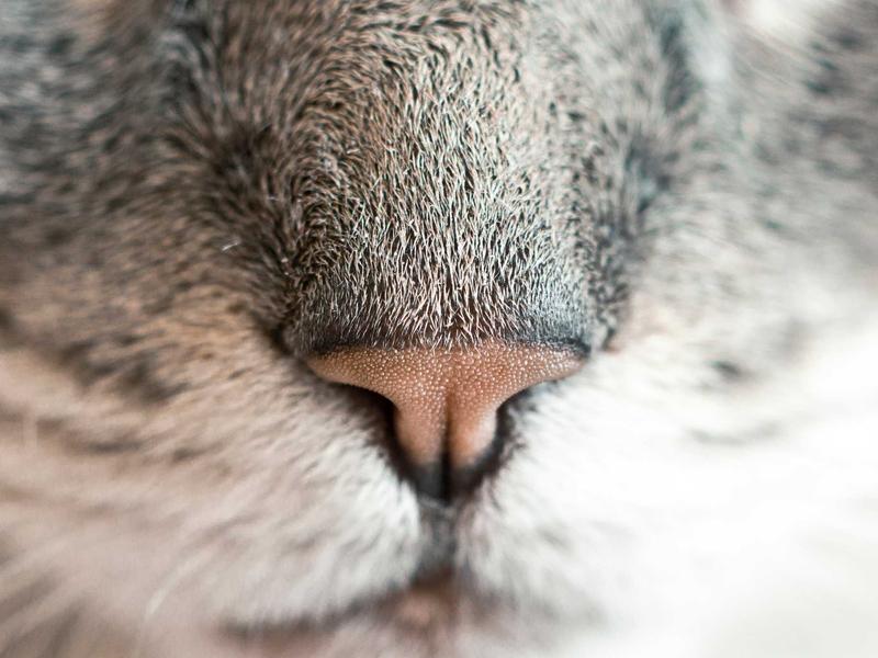 landscape - Research